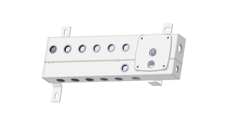 Manifold