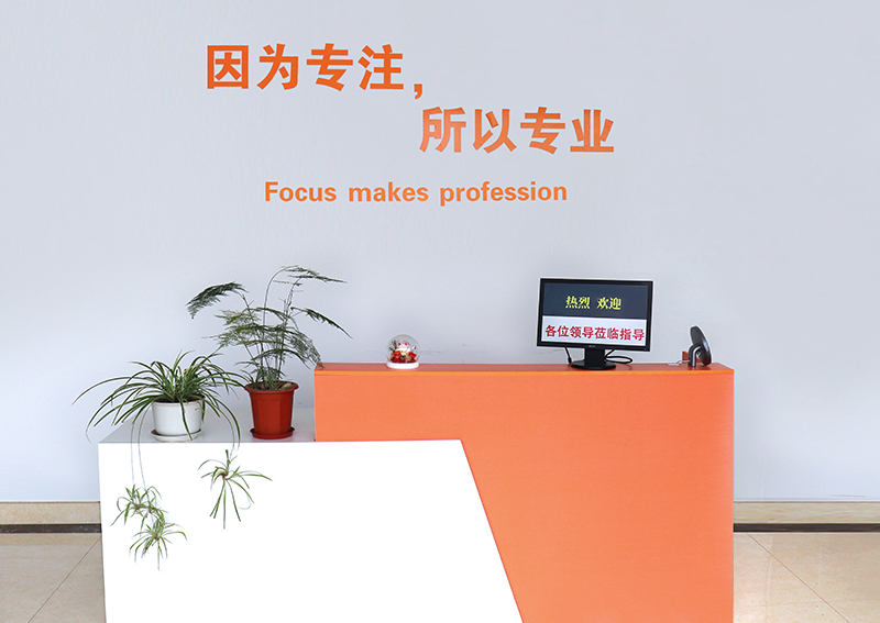 Internal environment of the company